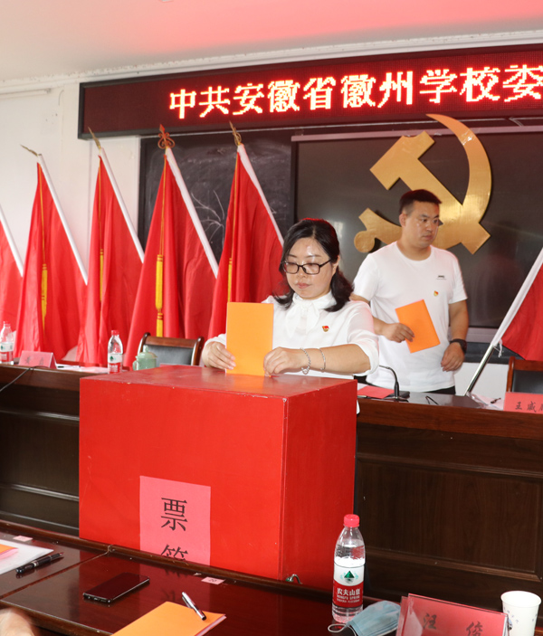 投票3.jpg 投票3.jpg