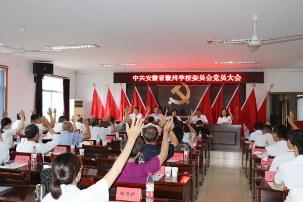 全体党员举手表决通过《选举办法》.jpg 全体党员举手表决通过《选举办法》.jpg