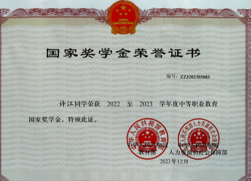 11许江国奖证书.jpg